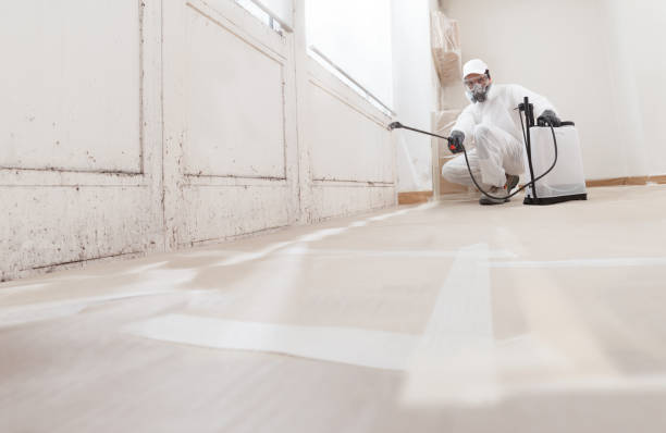 24/7 Emergency Attic Mold Removal experts in Hollywood, FL